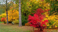 Bodenham Arboretum-6