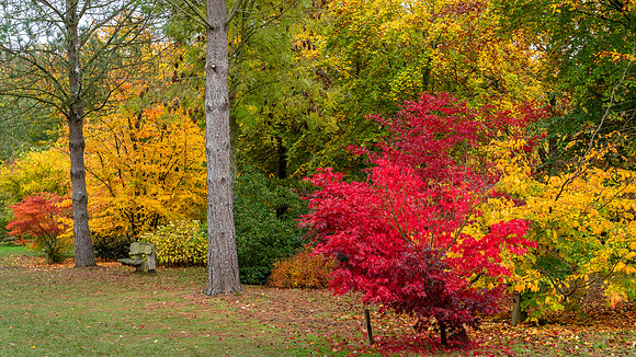 Bodenham Arboretum-6