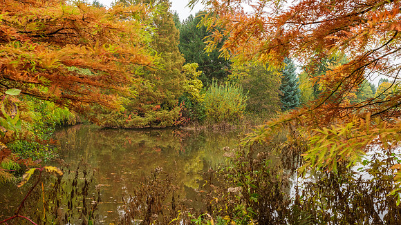 Bodenham Arboretum