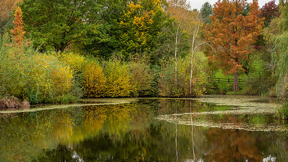 Bodenham Arboretum-23