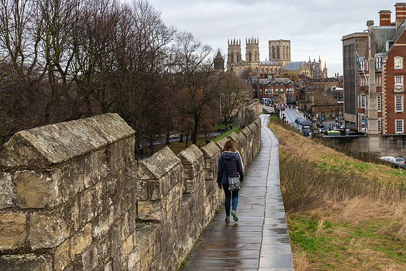 York-113