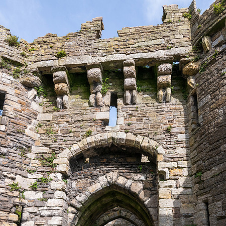 Beaumaris Castle -5