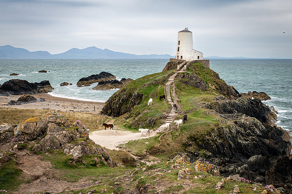 Tŵr Mawr lighthouse, on Llanddwyn Island -7