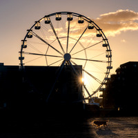 Weston Wheel