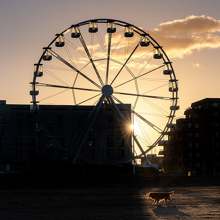 Weston Wheel