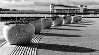 Shapes in Weston