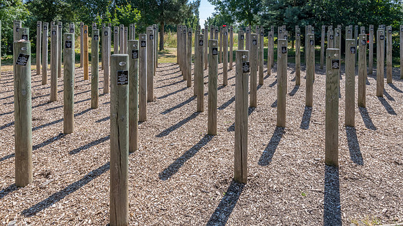 Shot at Dawn Memorial -3