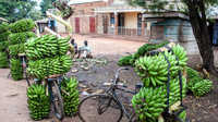 Banana Bikes