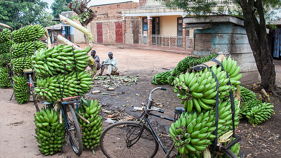 Banana Bikes