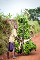 Banana Bike