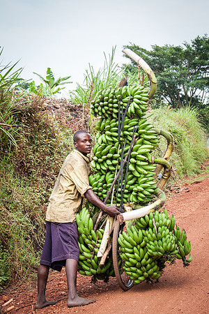 Banana Bike