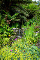 Trebah Gardens -4
