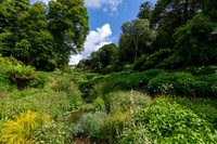 Trebah Gardens -10
