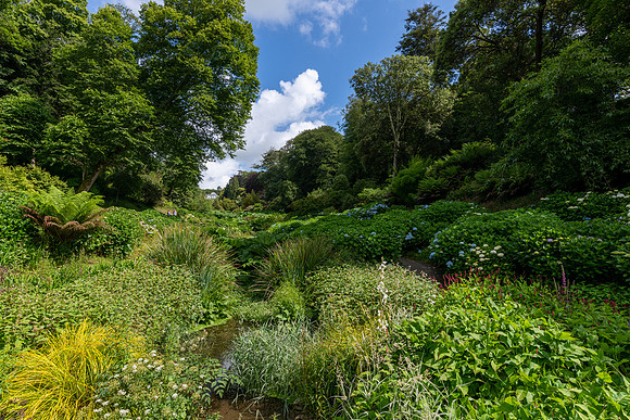 Trebah Gardens -10