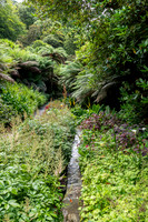 Trebah Gardens -6