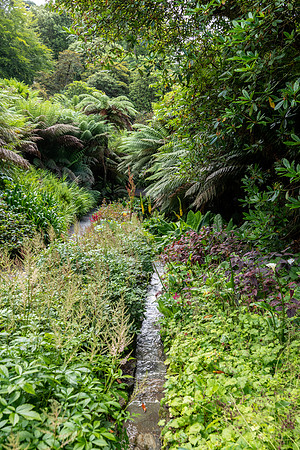 Trebah Gardens -6