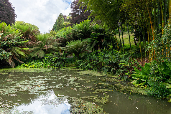 Trebah Gardens -23
