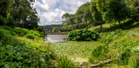 Trebah Gardens -11