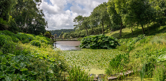 Trebah Gardens -11