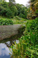Trebah Gardens -17