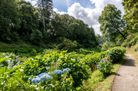 Trebah Gardens -7