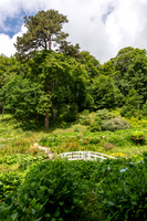 Trebah Gardens -19