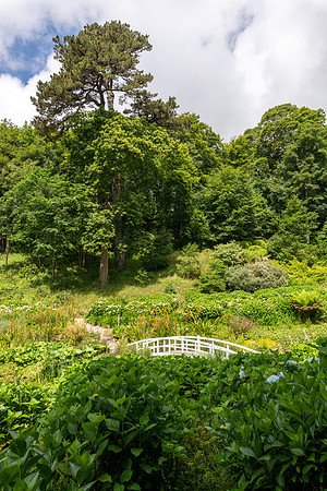 Trebah Gardens -19
