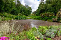 Trebah Gardens -14