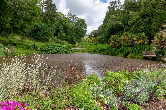 Trebah Gardens -14