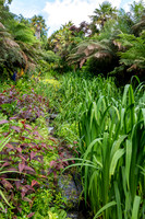 Trebah Gardens -5