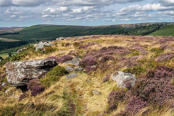 Carhead Rocks -5