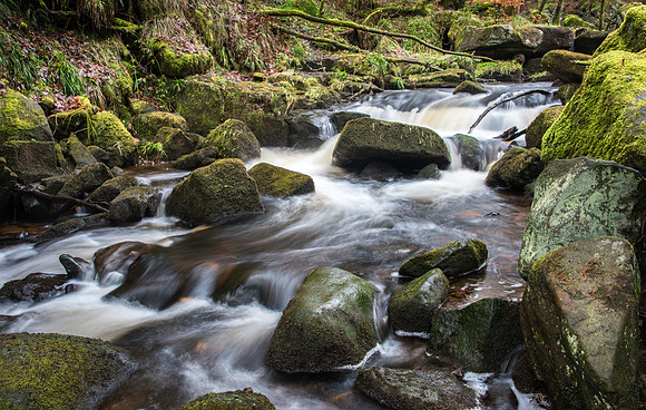 Padley Gorge -2