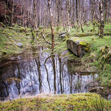 Bolehill Quarry -7
