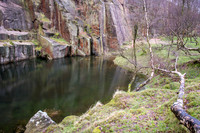 Bolehill Quarry -3