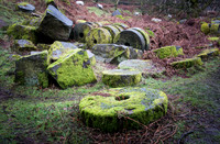Bolehill Quarry -8