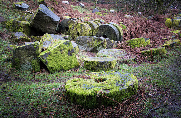 Bolehill Quarry -8