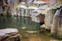 Bolehill Quarry -6