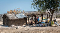 Rural Scene -6