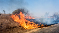 Burning Grass