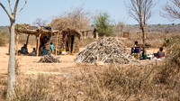 Rural Scene -5