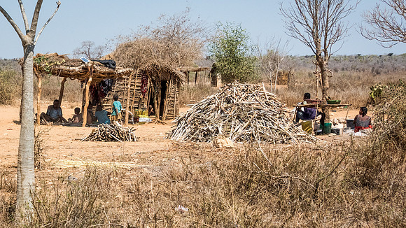 Rural Scene -5
