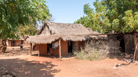 Rural Scene -2