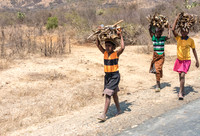 Carrying wood