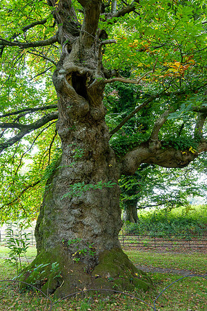 Stourhead-2