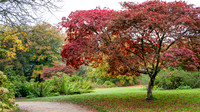 Stourhead-3