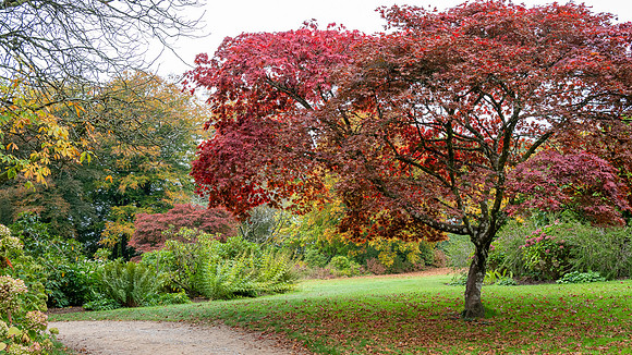 Stourhead-3