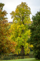Stourhead-13