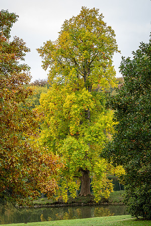 Stourhead-13