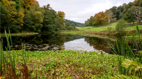 Stourhead-16