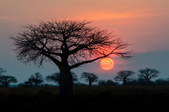 Sunrise -1